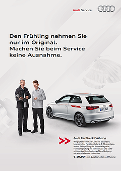 Audi-Service-Fr�hjahr2013