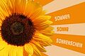 Sommer-Sondershow im Mai