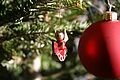 Dezember 2007 | Weihnachtsbaumverkauf am 14. Dezember 2007