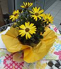 Fr&uuml;hlingsfest 01.05.2013