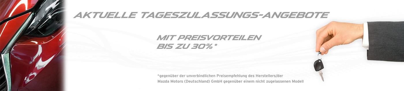 Tageszulassung