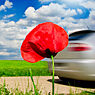 Produktion des Toyota Prius PHV gestartet title=