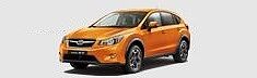 XV 