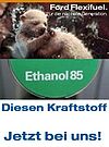 Bio-Ethanol