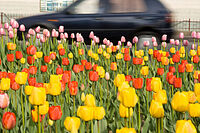 Unser Komplett-Service zum Frühjahr