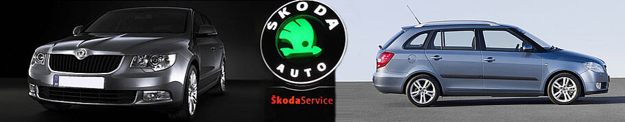 Kopfbild Skoda Service - Neuer Superb + Fabia